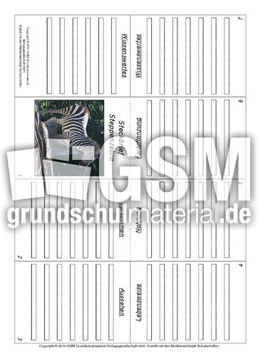 Faltbuch-Steppenzebra.pdf